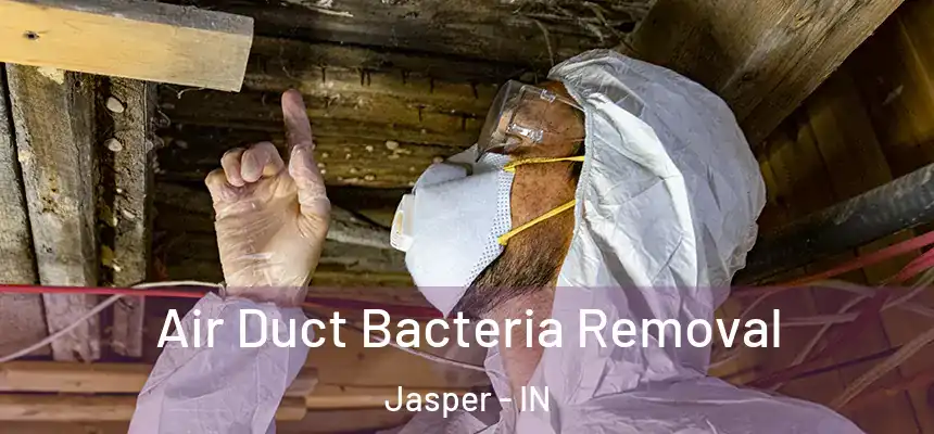  Air Duct Bacteria Removal Jasper - IN