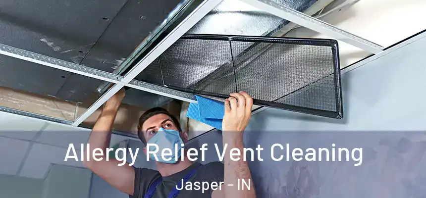 Allergy Relief Vent Cleaning Jasper - IN