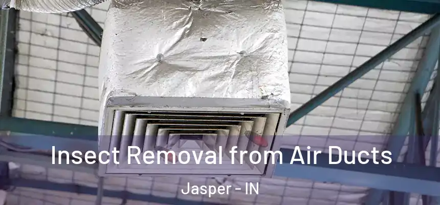 Insect Removal from Air Ducts Jasper - IN