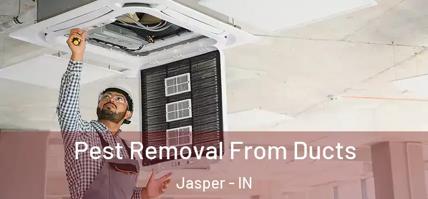  Pest Removal From Ducts Jasper - IN