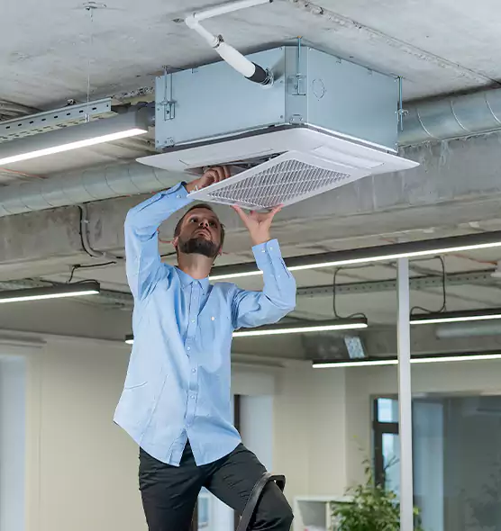 Advanced Rodent Droppings In Vents in Jasper, IN