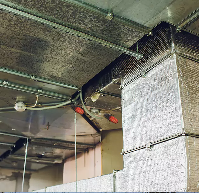 Why Homeowners & Businesses Trust Us in Jasper, IN?